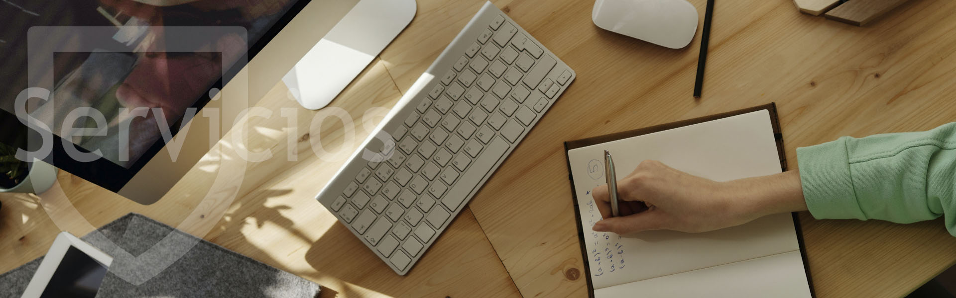 profesor online servicios